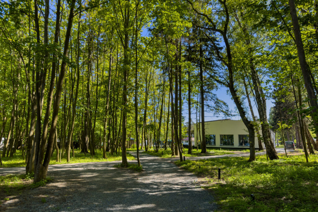 Rose Senior Resort